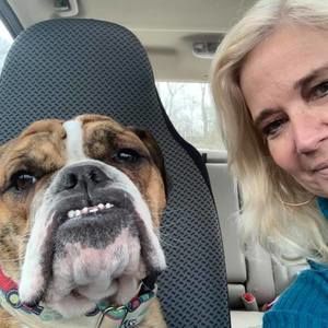 Meet your Posher, Alva